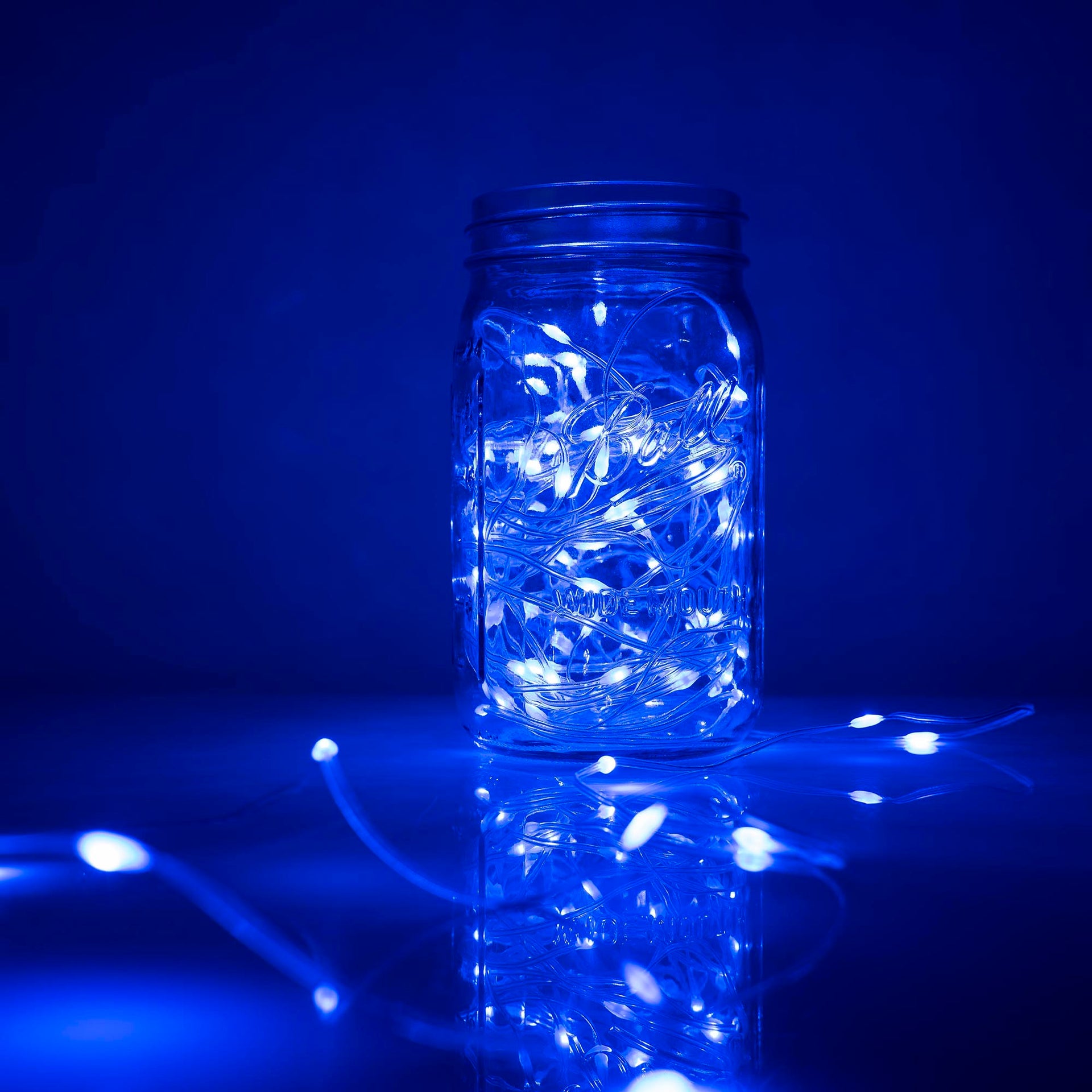BLUE Flexi Ribbon LED String Lights 33ft 100 LEDs 8 Modes w/6H Timer Waterproof - West Ivory LED Lighting 